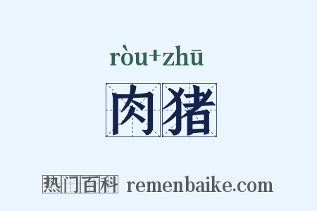 肉猪是什么意思的图片